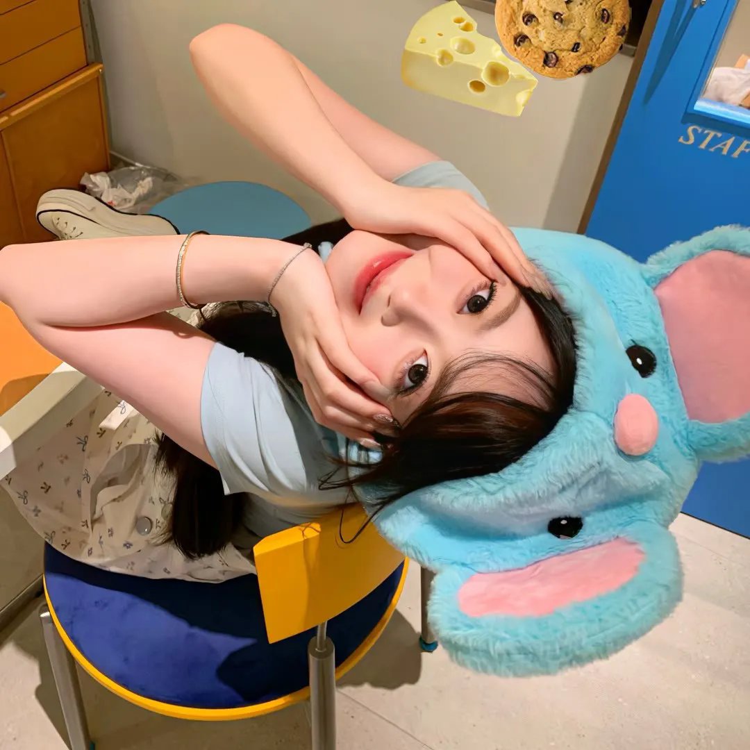 她和她的猫